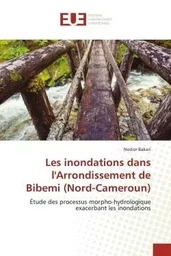 Les inondations dans l'Arrondissement de Bibemi (Nord-Cameroun)