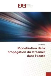 Modélisation de la propagation du streamer dans l'azote