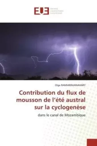 Contribution du flux de mousson de l'été austral sur la cyclogenèse - Olga RAMIARINJANAHARY - UNIV EUROPEENNE