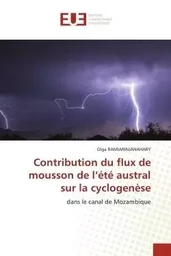 Contribution du flux de mousson de l'été austral sur la cyclogenèse