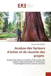 Analyse des facteurs d'échec et de réussite des projets