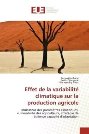 Effet de la variabilité climatique sur la production agricole - Antipas Foobane, Bertin Djiangoué, Félix Watang Ziéba - UNIV EUROPEENNE