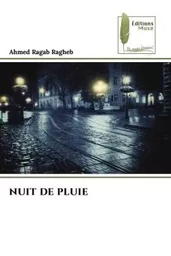 NUIT DE PLUIE