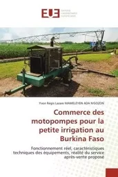 Commerce des motopompes pour la petite irrigation au Burkina Faso