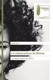 La mésaventure de Bintou