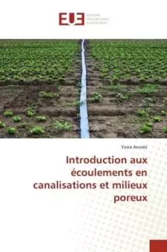 Introduction aux écoulements en canalisations et milieux poreux - Yosra Annabi - UNIV EUROPEENNE