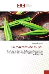 La macrofaune du sol