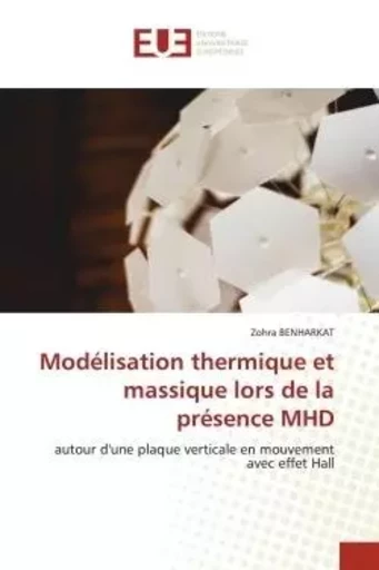 Modélisation thermique et massique lors de la présence MHD - Zohra BENHARKAT - UNIV EUROPEENNE