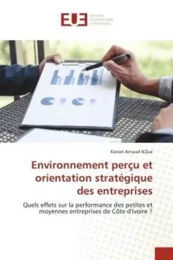 Environnement perçu et orientation stratégique des entreprises - Konan Arnaud N'Zue - UNIV EUROPEENNE