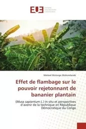 Effet de flambage sur le pouvoir rejetonnant de bananier plantain