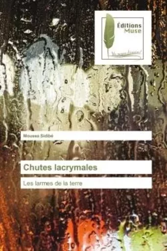 Chutes lacrymales - Moussa Sidibé - MUSE