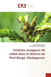 Insectes ravageurs de niébé dans le District de Port-Bergé, Madagascar