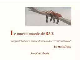 Le tour du monde de Bao