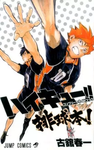 HAIKYU!! COMPLETE GUIDE BOOK (ARTBOOK VO JAPONAIS) - Haruichi Furudate - SHUEISHA