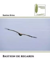 Bastion de regards