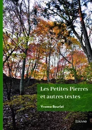 Les petites pierres et autres textes