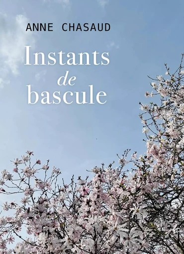 Instants de bascule - Anne Chasaud - LIBRINOVA