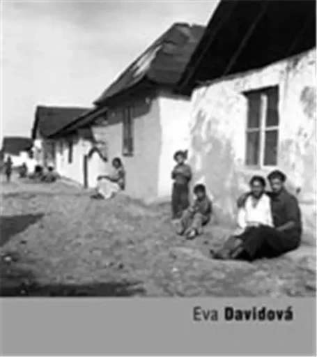 Eva Davidova /anglais -  DAVIDOVA EVA - DAP ARTBOOK