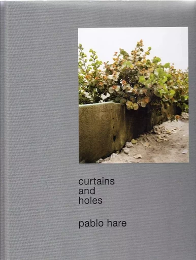 Pablo Hare Curtains and Holes /anglais -  HARE PABLO - TOLUCA