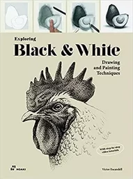 Exploring Black & White. Drawing and Painting Techniques (Paperback) /anglais