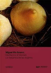 Miguel Rio Branco Mecanique Des Femmes (64P) /anglais