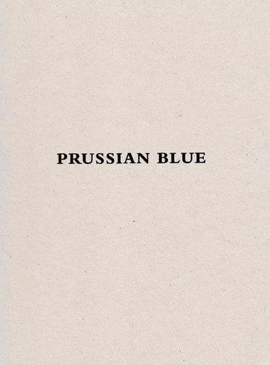 Yishai Jusidman Prussian Blue (catalogue expo MUAC) /anglais -  - RM EDITORIAL