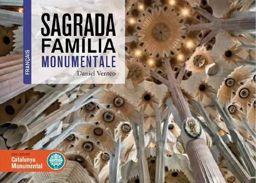 Sagrada Familia monumentale - Daniel Venteo - EFADOS