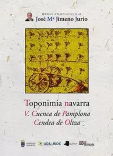 TOPONIMIA NAVARRA V - CUENCA DE PAMPLONA/ CENDEA DE OLTZA -  JIMENO JURIO, JOSE M - PAMIELA