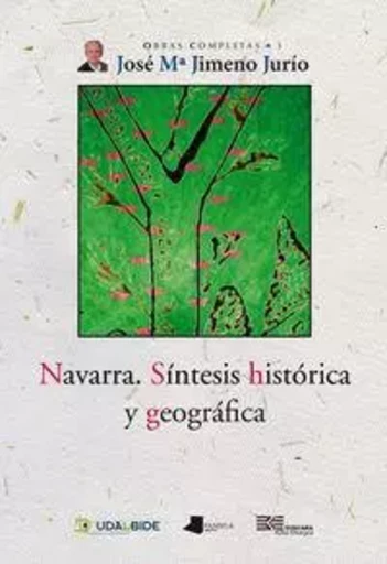 NAVARRA - SINTESIS HISTORICA Y GEOGRAFICA -  JIMENO JURIO, JOSE M - PAMIELA