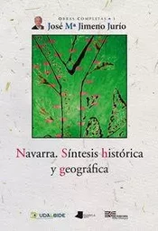 NAVARRA - SINTESIS HISTORICA Y GEOGRAFICA