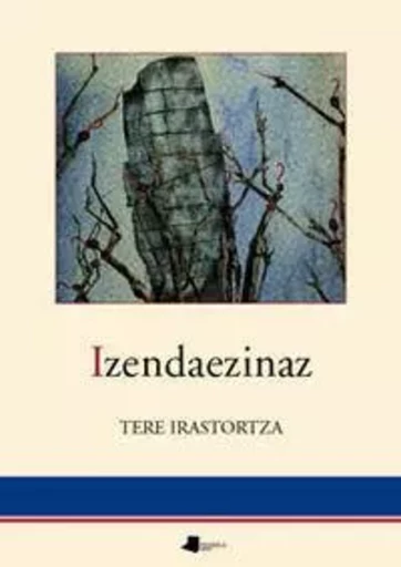 IZENDAEZINAZ -  IRASTORZA, TERE - PAMIELA