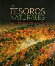 TESOROS DEL PIRINEO ARAGONES, LOS