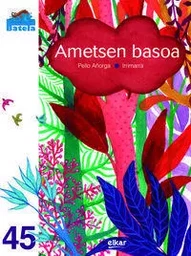 AMETSEN BASOA