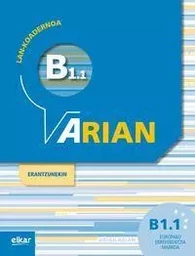 ARIAN B1.1 LAN-KOADERNOA