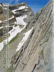 Plaquettes dans les vallées des Gaves