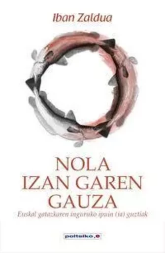 NOLA IZAN GAREN GAUZA - EUSKAL GATAZKAREN INGURUKO IPUIN  GUZTIAK -  ZALDUA, IBAN - EREIN