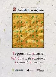 TOPONIMIA NAVARRA VII - CUENCA DE PAMPLONA. CENDEA DE ANTSOAIN