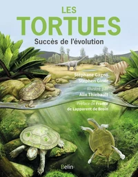 Les Tortues