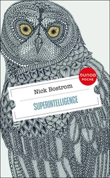 Superintelligence