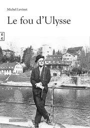 Le fou d'Ulysse - roman