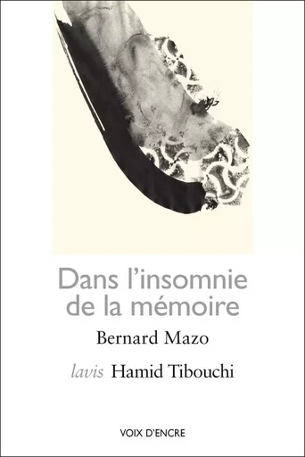 DANS L'INSOMNIE DE LA MÉMOIRE - Bernard Mazo - VOIX D ENCRE