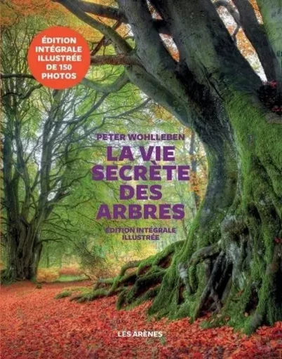 La Vie secrète des arbres - Edition illustrée - Peter Wohlleben - Groupe Margot