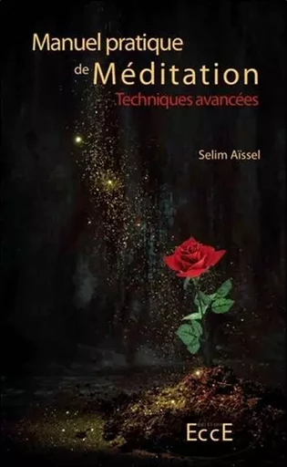 Manuel pratique de Méditation - Techniques avancées - Selim Aïssel - ECCE (LIVRE) EDITIONS