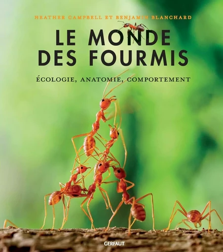 Le monde des fourmis - Heather Campbell, Benjamin Blanchard - GERFAUT