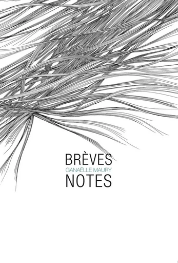 Brèves notes - Ganaelle MAURY - SIX PIEDS TERRE