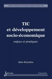 TIC et développement socio-économique : enjeux et pratiques