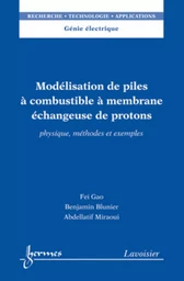 Modélisation de piles à combustible à membrane échangeuse de protons