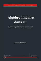 Algèbre linéaire dans Rn : théorie, algorithmes et complexité