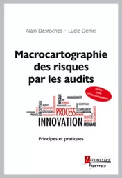 Macrocartographie des risques par les audits