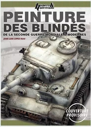 PEINTURE DES BLINDES DE LA SECONDE GUERRE MONDIALE ET MODERNES.